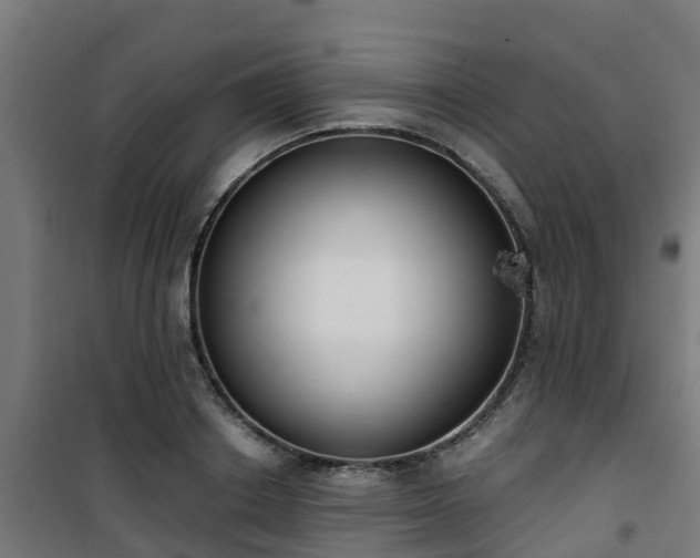 X0000101400842200807141155