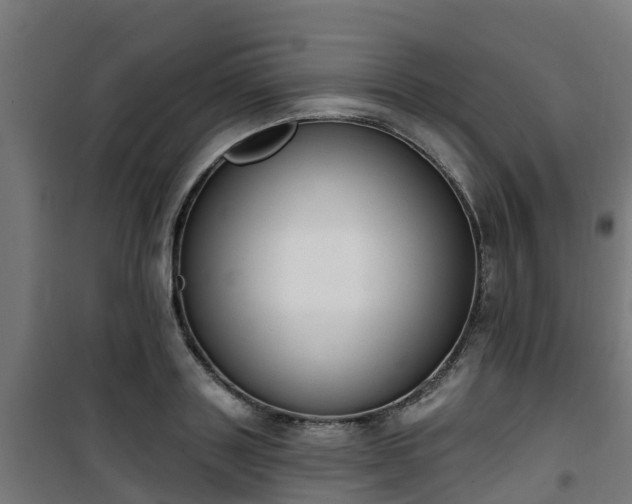 X0000101400843200807141155