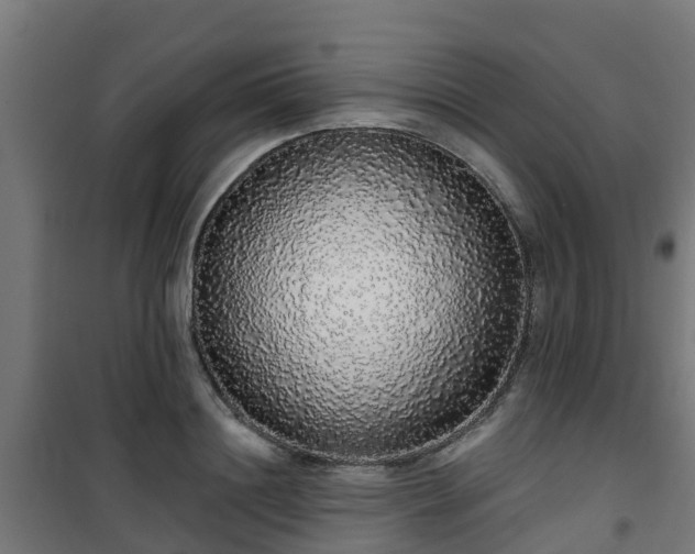 X0000101400844200807141155