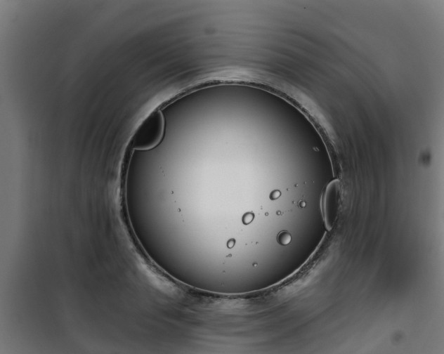 X0000101400845200807141155