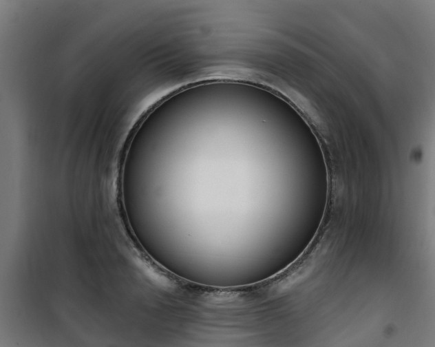 X0000101400846200807141155