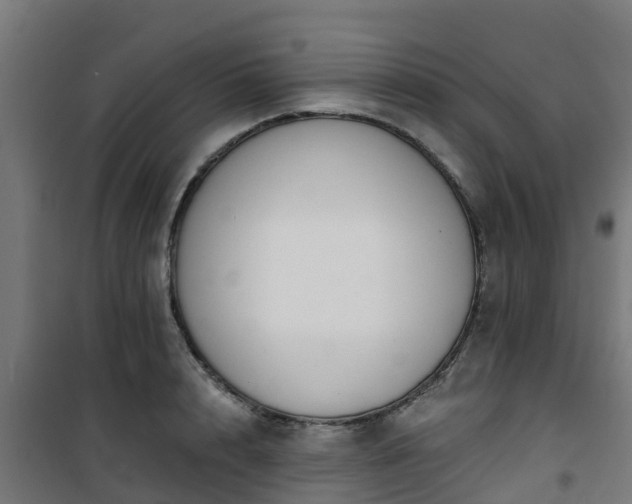 X0000101400848200807141155