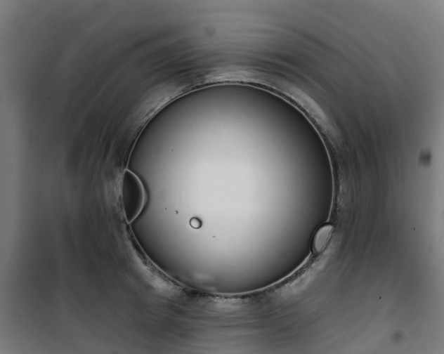 X0000101400849200807141155