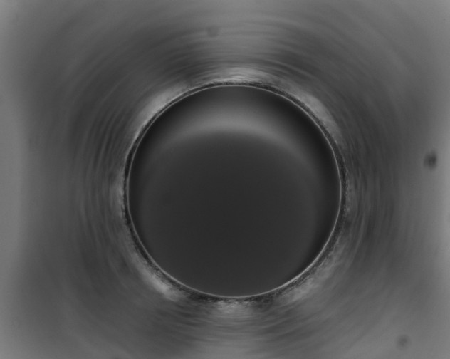 X0000101400850200807141155