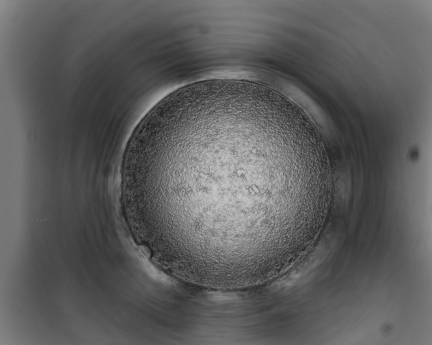 X0000101400852200807141155