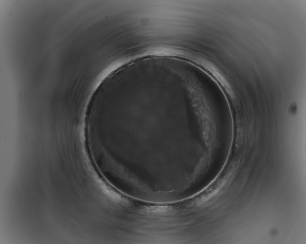 X0000101400853200807141155