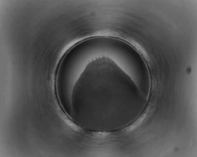 X0000101400854200807141155