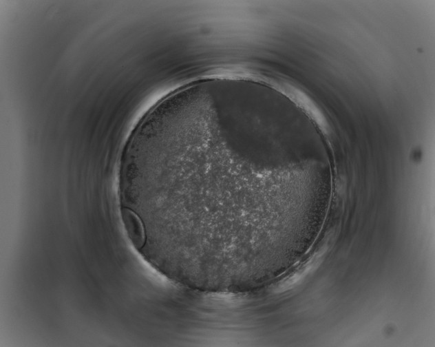 X0000101400855200807141155