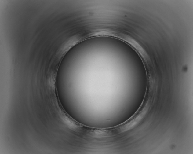 X0000101400857200807141155