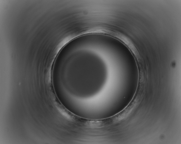 X0000101400858200807141155