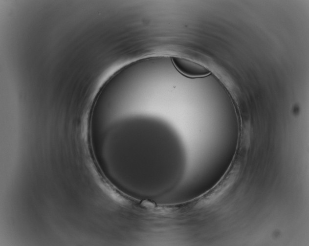 X0000101400862200807141155