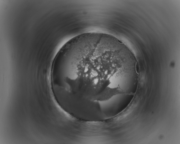 X0000101400863200807141155