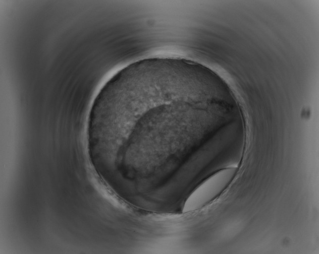 X0000101400864200807141155