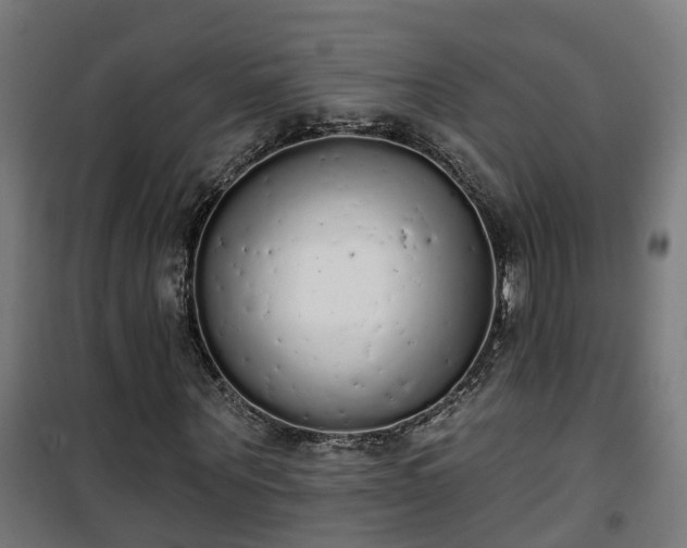 X0000101400867200807141154