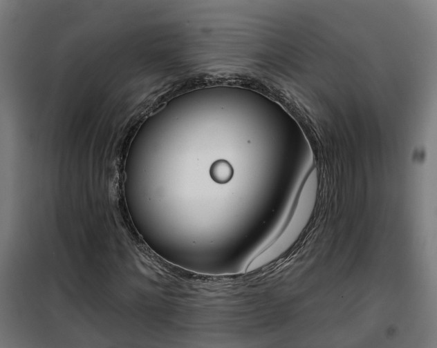 X0000101400868200807141154