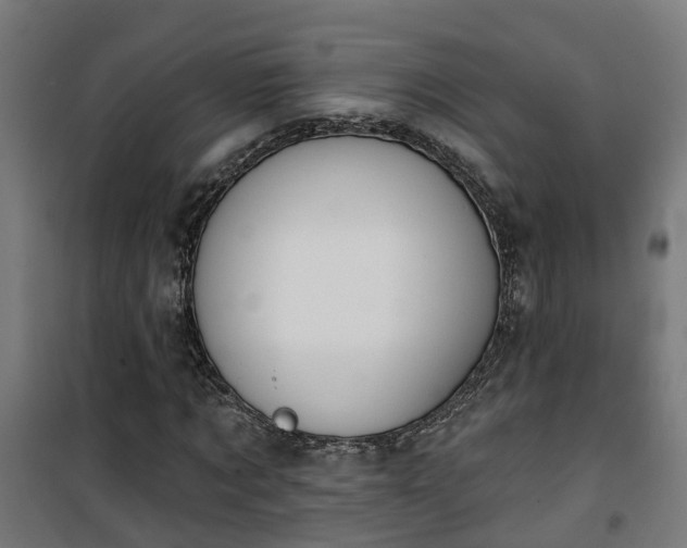 X0000101400869200807141154