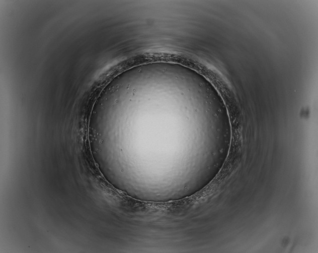 X0000101400870200807141154