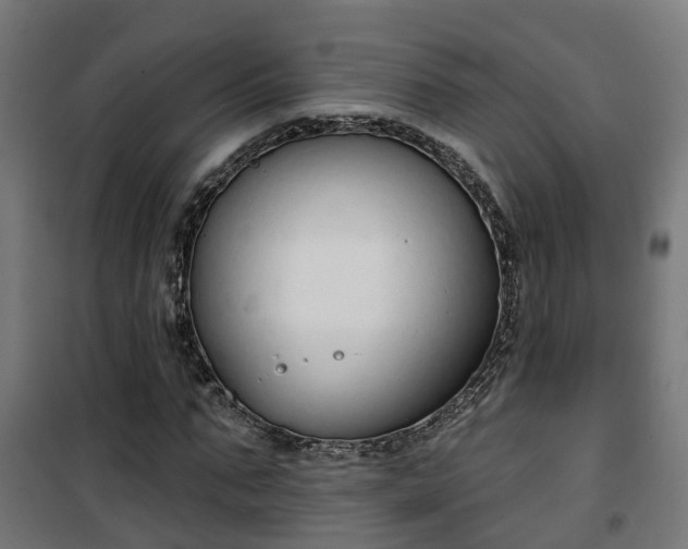 X0000101400871200807141154