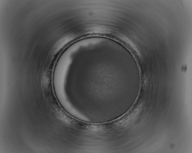 X0000101400874200807141154