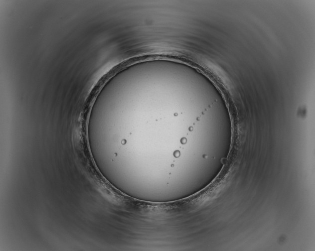 X0000101400875200807141154