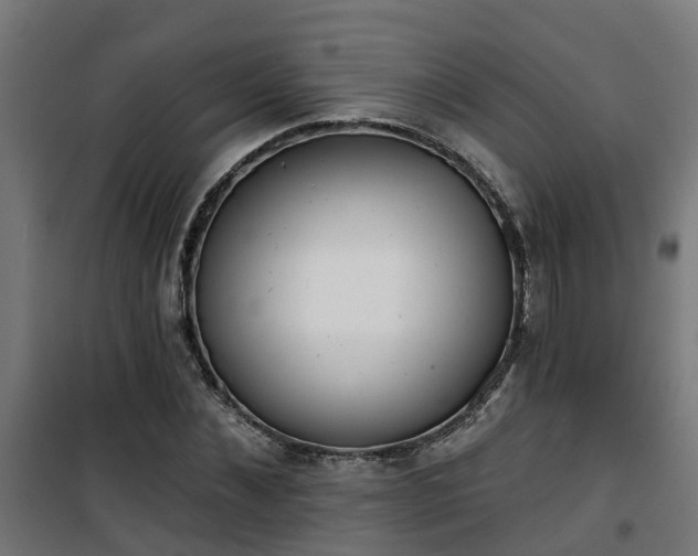 X0000101400876200807141154