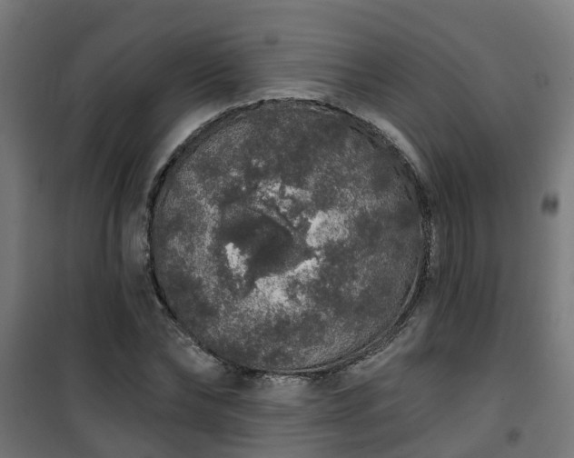 X0000101400878200807141154