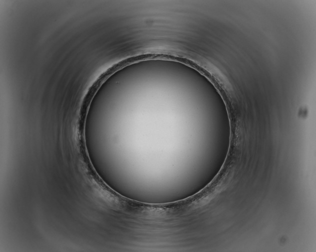 X0000101400880200807141154