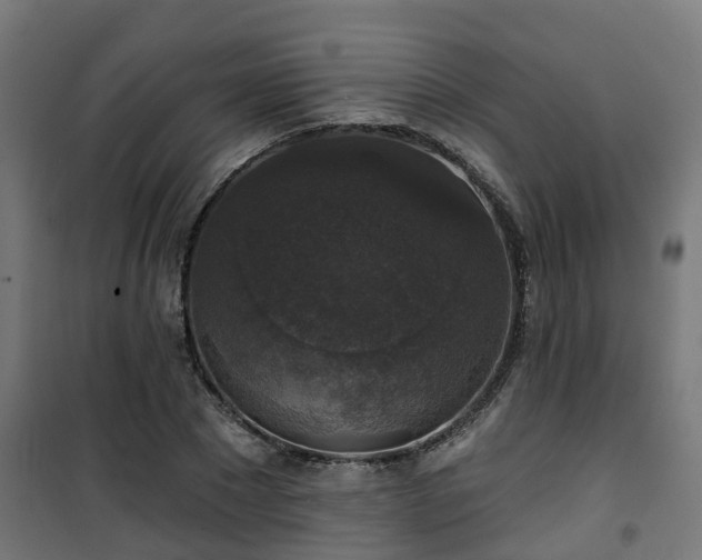 X0000101400881200807141154