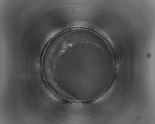 X0000101400882200807141154