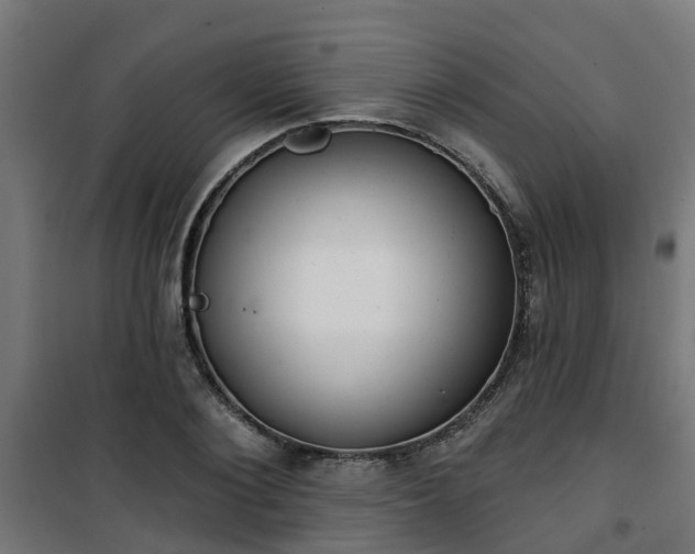 X0000101400884200807141154