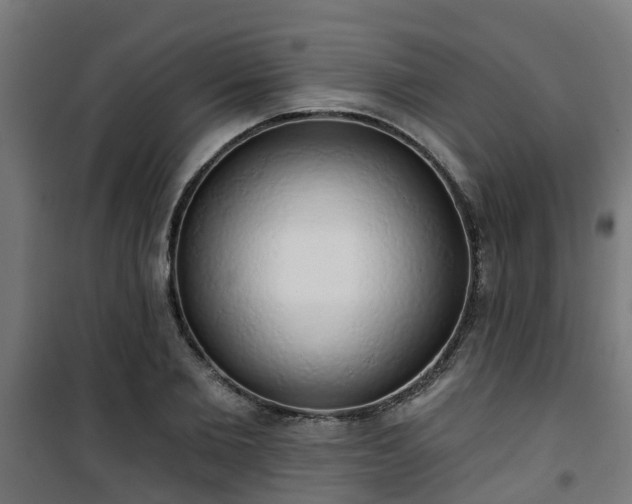 X0000101400885200807141154