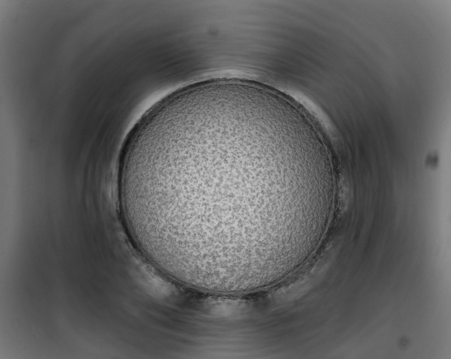 X0000101400886200807141154