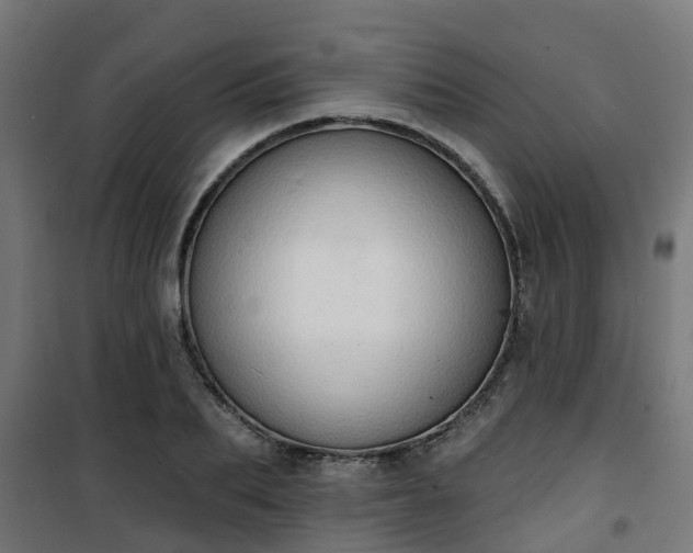 X0000101400887200807141154