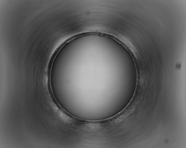 X0000101400888200807141154