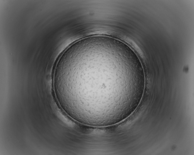 X0000101400890200807141154