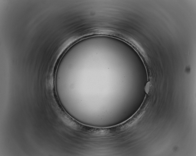 X0000101400891200807141154