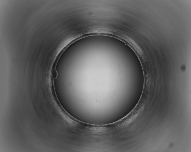 X0000101400893200807141154