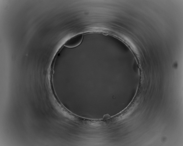 X0000101400899200807141154