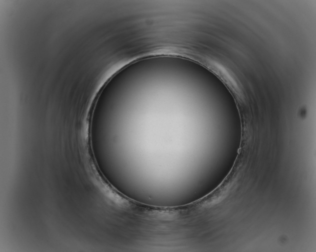 X0000101400900200807141154