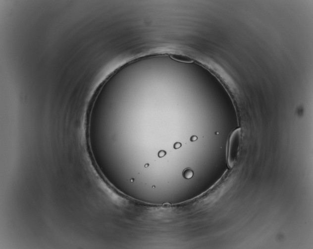 X0000101400902200807141154