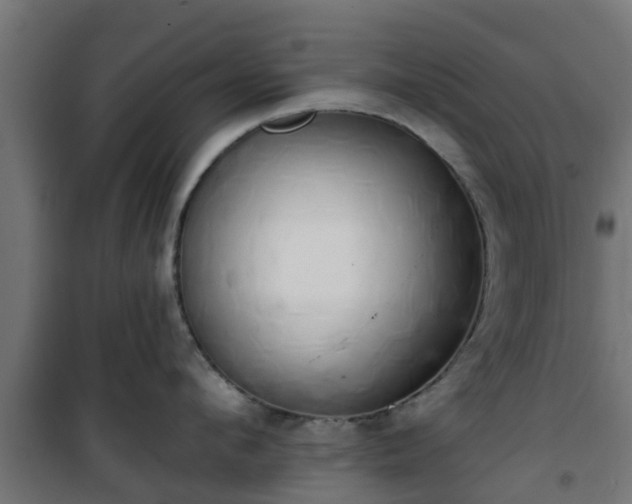 X0000101400912200807141154