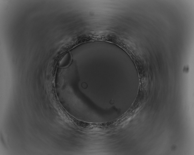 X0000101400913200807141153