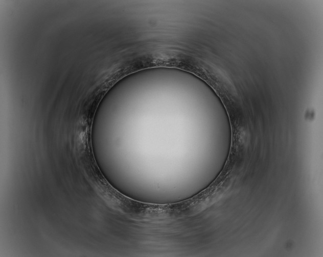 X0000101400914200807141153