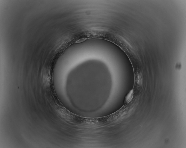 X0000101400915200807141153