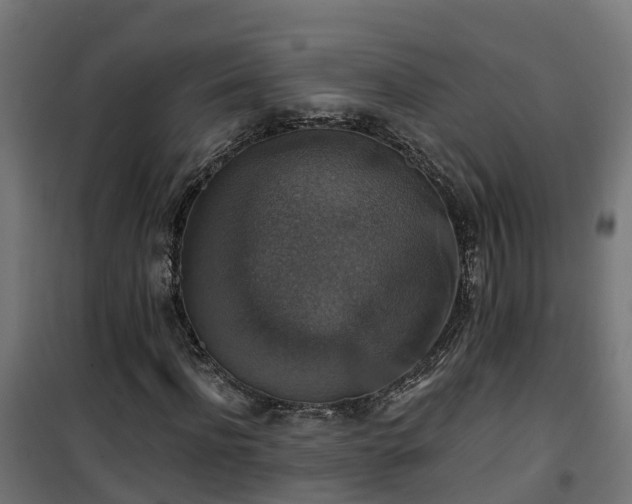 X0000101400916200807141153