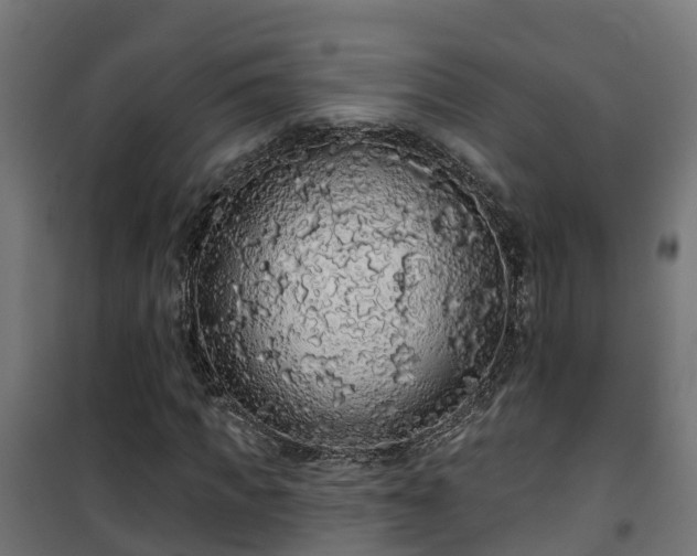 X0000101400917200807141153