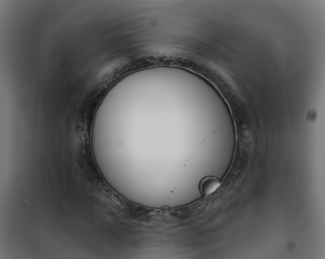 X0000101400918200807141153