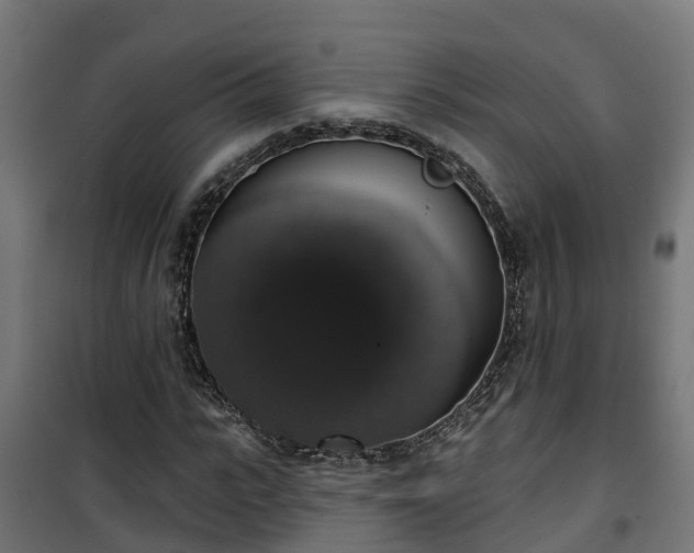 X0000101400919200807141153