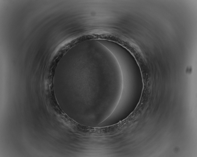 X0000101400920200807141153