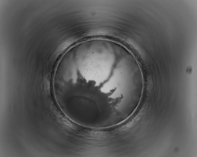 X0000101400921200807141153